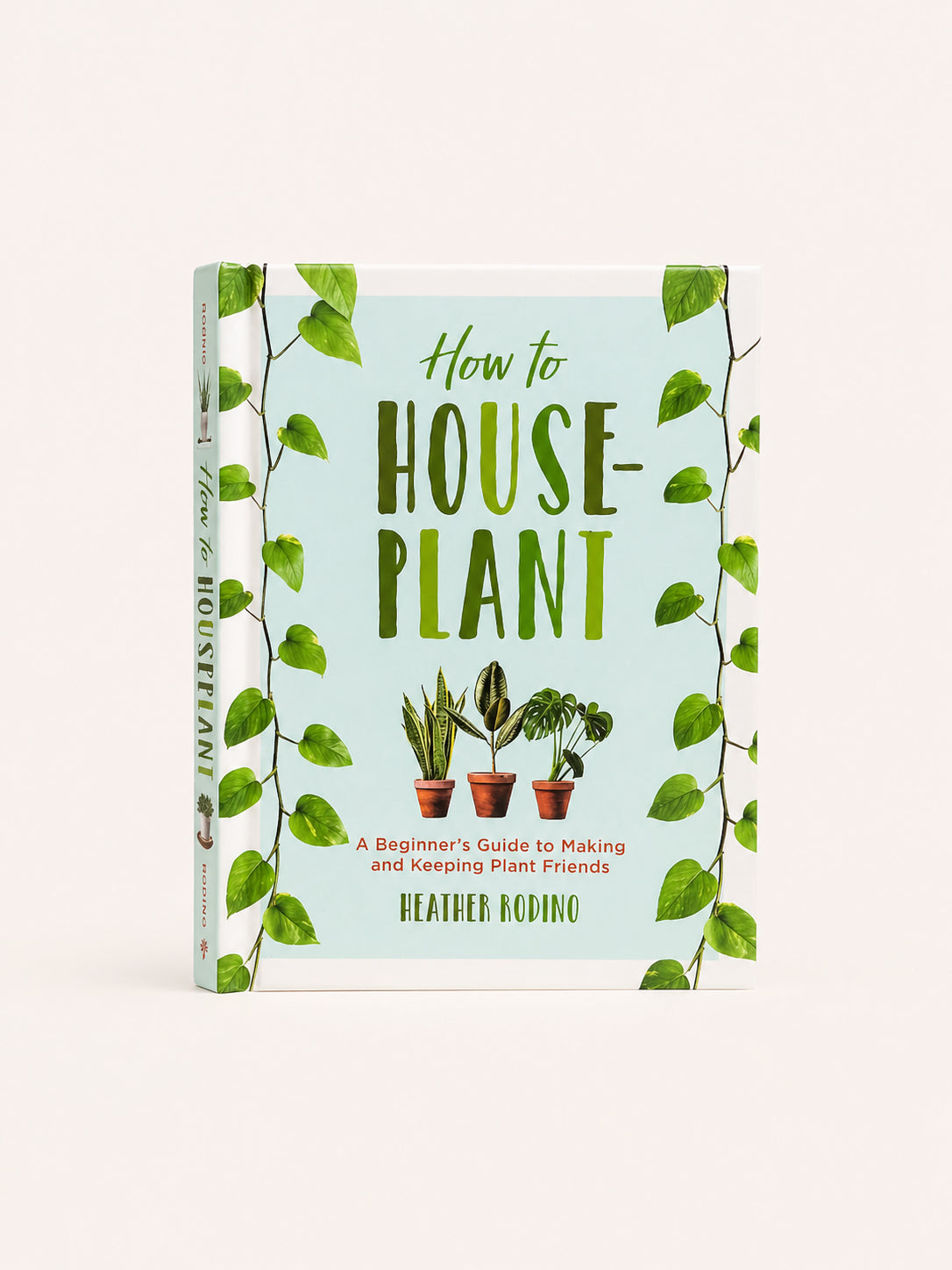 How to Houseplant