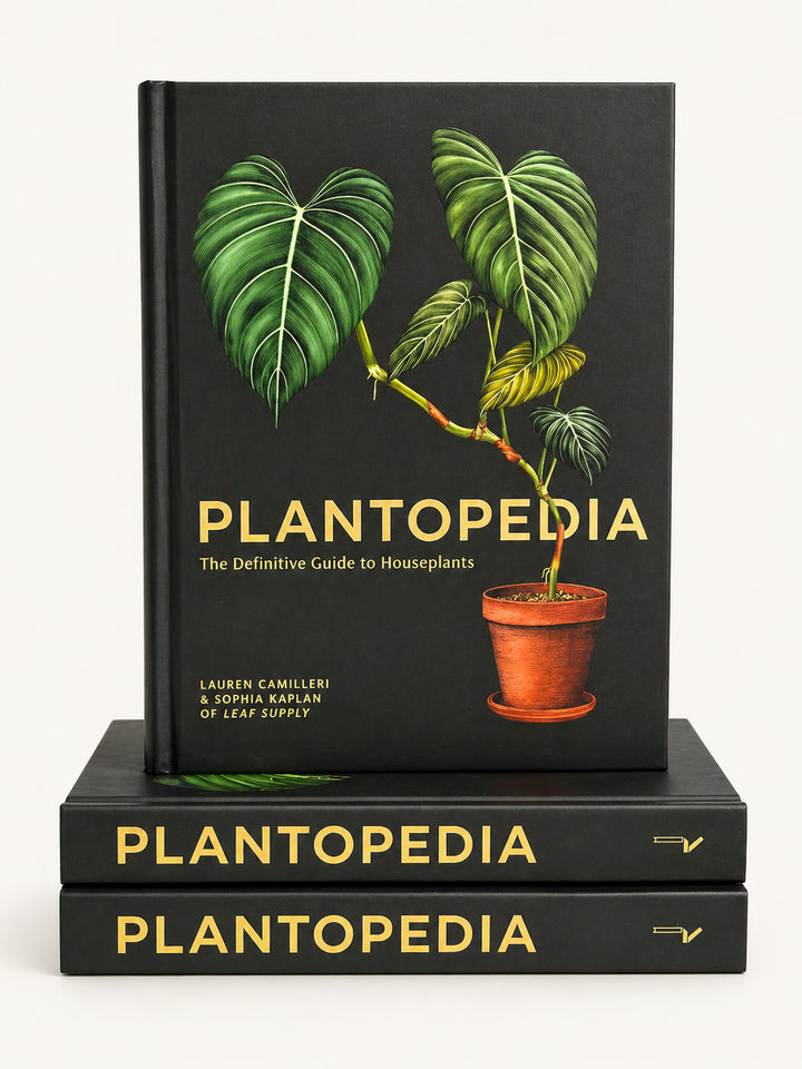 Plantopedia — The Definitive Guide