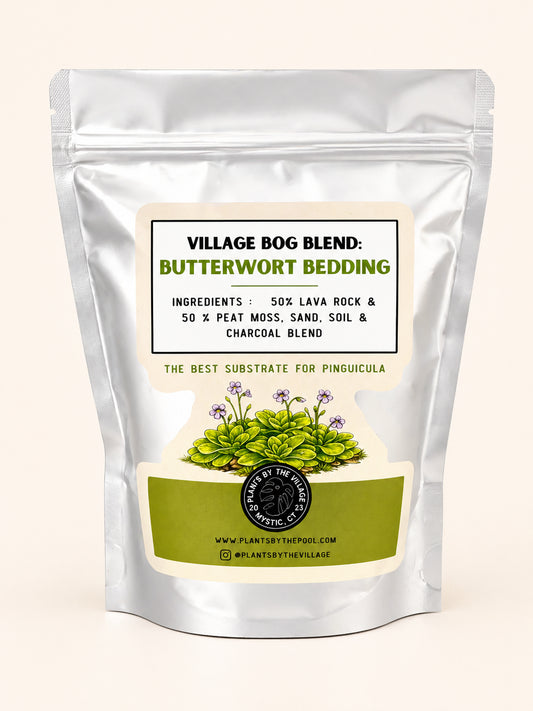 Village Bog Blend Butterwort Bedding