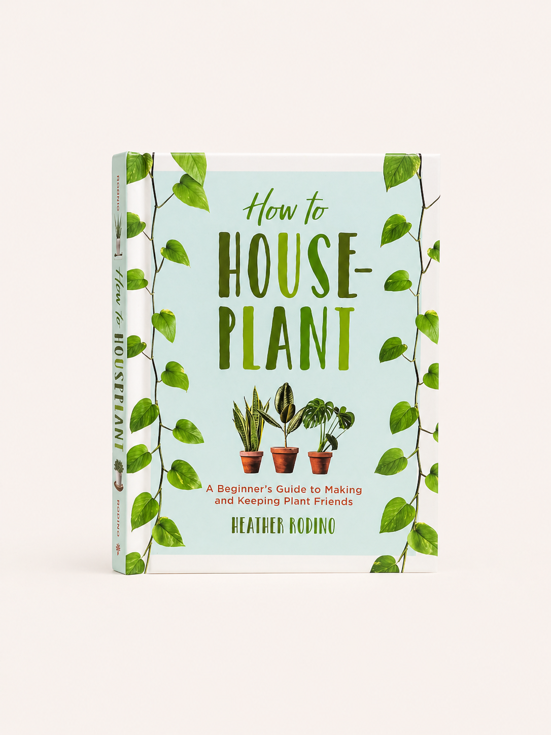 How to Houseplant - Beginners guide to making & keeping plant friends